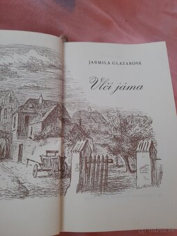 J.Glazarová ,,Vlčí jáma" - 3