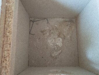 Predám búdku pre stredne veľké vtaky - 3