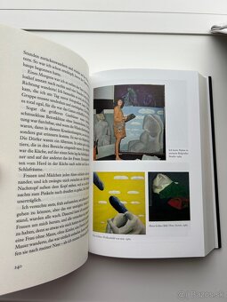 NOVÁ: Marina Abramovič „Prejsť cez steny“, nemecký jazyk - 3