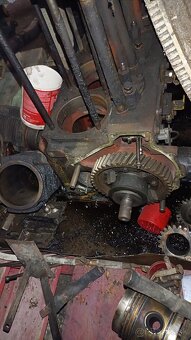 Lister Petter  motor TS 3 - 3