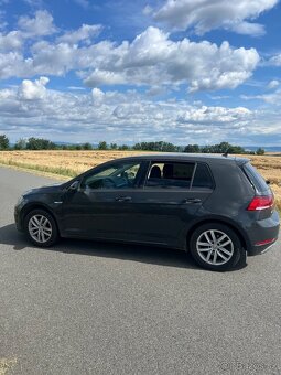 golf cng 2019 - 3