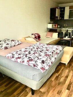 1izb. ALEXYHO UL.(Dúbravka) za 500 €/mes. vrátane E - 3