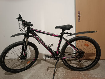 Kellys Spider 20 - 3