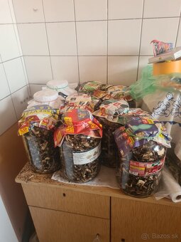 Sušené hriby - 3