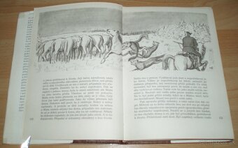 Bílý hřebec - 3