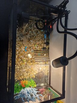 Akvarium s prislusenstvom - 3