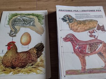 Papierové modely, vystrihovačky z ABC pre deti - 3