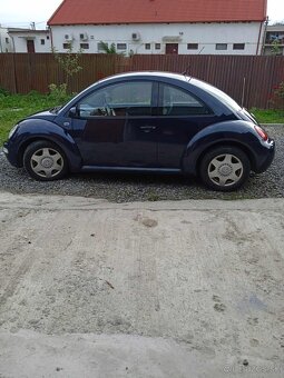 New Beetle - 3