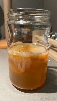 Kombucha - 3