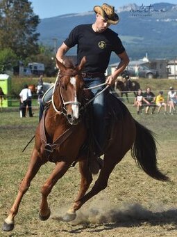 Quarter horse,QH valach.akciová cena. - 3