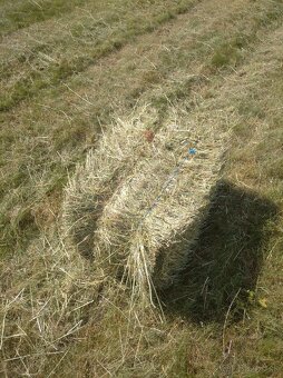 Seno malé balíky - 3