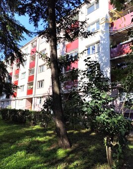 3 IZBOVÝ BYT - TOPOĽČANY - 3