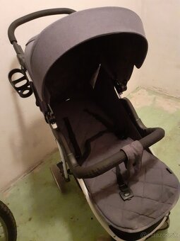 Športovy kočik - 3