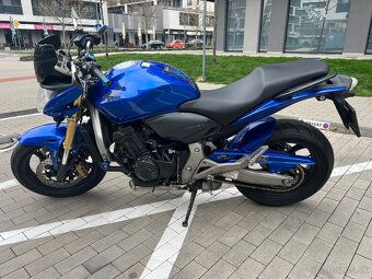 Honda CB600 F Hornet 2009 - 3
