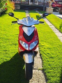 Peugeot speedfight 2 Rally victories  50ccm - 3