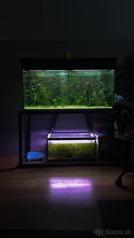Predam akvarium aj s rybami - 3