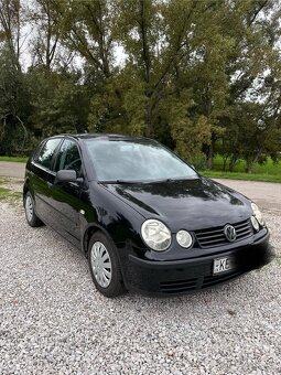 Polo - 3
