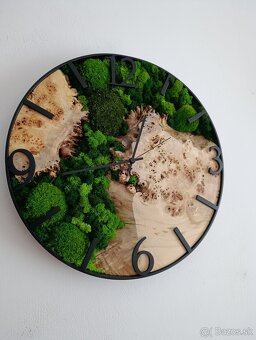 Machové hodiny s Očkovým topoľom - 3