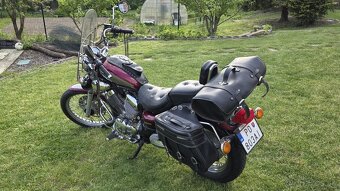 Yamaha Virago 535 - 3