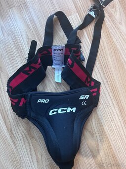 Seniorska hokejova vystroj L-XL - 3