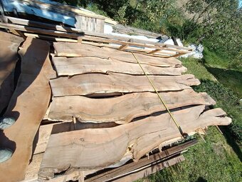 Suché orechové rezivo - 3