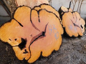 Koláče -  orechové drevo, fošne, rezivo - 3
