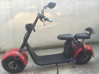 HARLEY - 3
