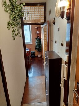 Prenajom 3 izbového bytu - 3