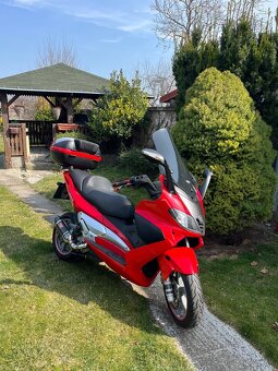 Predam Gilera Nexus 500 - 3