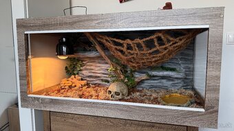 Pyton + terárium - 3