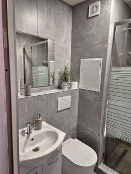 Dám do prenájmu garsónku - 3