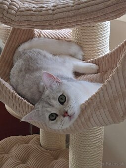 Predám krásny mačací strom - 3