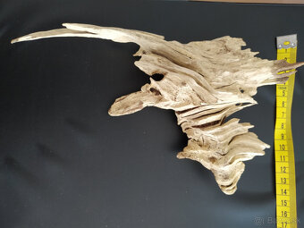 Samorast / Paroh - 3