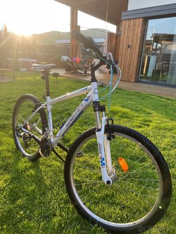 Horský bicykel DEMA - 3