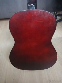 Gitara Ashton - 3