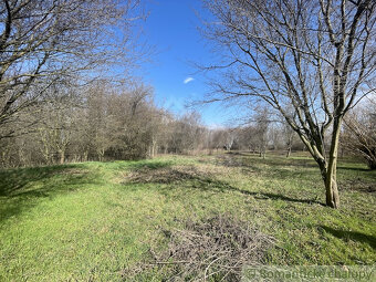 Priestranný pozemok na výstavbu rekreačnej nehnuteľnosti - 3