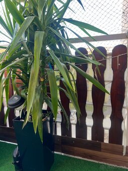 Drevena doska na ozdobu 30ks - 3