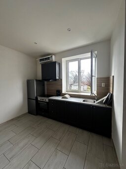 Velky 1-izbovy byt na prenajom - 3