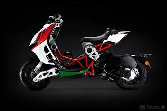 DRAGSTER 200 Tricolore - 3