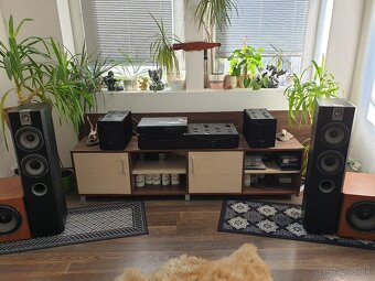 Focal Chorus 716 W limitovana edicia - 3