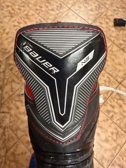 Korčule Bauer NS 37 - 3