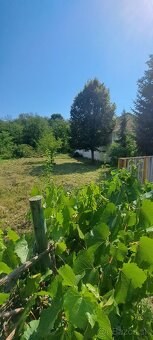 Predám pozemok v Zalabe - 3