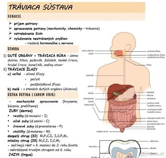 Príprava na maturitu a prijmacky - bio, chem, fyz - 3