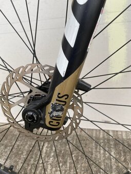 Ctm Dirtking expert 2020 - 3