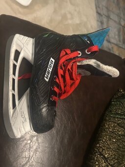 Korčule Bauer junior - 3