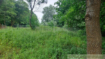 Pozemok 560 m2 vhodný na záhradu pri lesíku na predaj Holí - 3