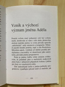 Nomenologický obraz jména Adéla - 3