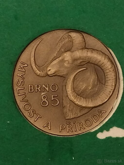 SILNÉ pravidelné parožie krásna dr. podložka 176,4 bodu - 3