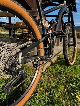 Custom Kellys Thorx 160/140mm - 3