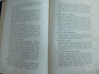 Sedm let v jižní Africe II 1881 - 3